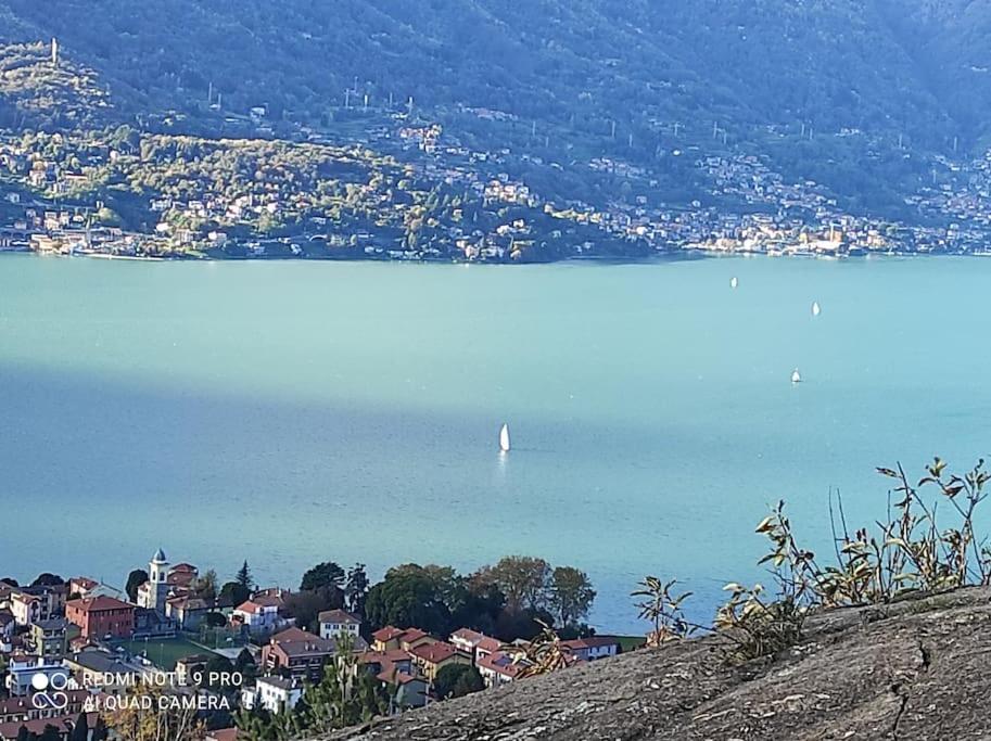Chilometro 29 Terra Daire Dervio Dış mekan fotoğraf